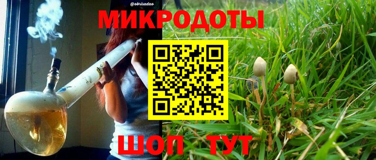 Псилоцибиновые грибы Psilocybine cubensis Оренбург